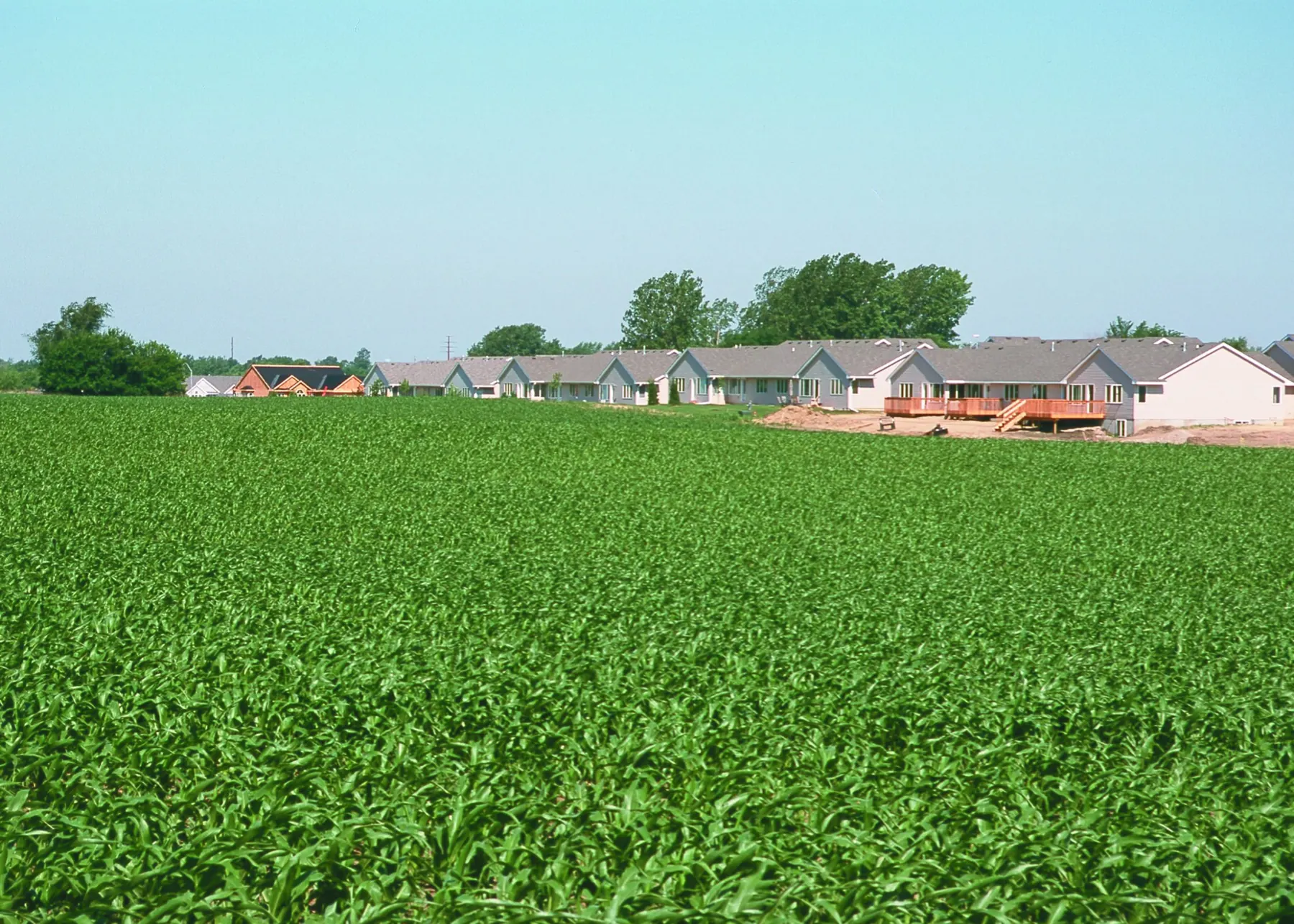 New houses going up at the edge of a corn field in Dallas County, Iowa